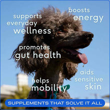 The Daily Powder Supplement, 11-in-1 Multivitamins For Dogs, 14 Oz, by Native Pet, image #3