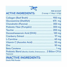 The Daily Powder Supplement, 11-in-1 Multivitamins For Dogs, 14 Oz, by Native Pet, image #7