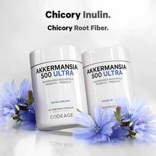 Akkermansia 500 Ultra, 90 Veg Capsules, by Codeage, image #4