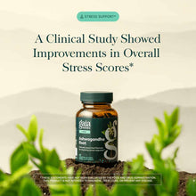 Gaia Herbs Ashwagandha Root supplement bottle with dark green label, displayed on soil with green plants and mountains in bac