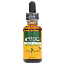 Astragalus Extract, 1 Oz, by Herb Pharm
