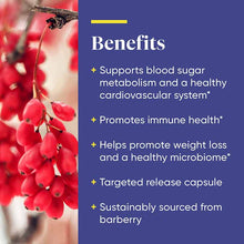 Berberine from Barberry, 60 Capsules, by Enzymedica, image #4