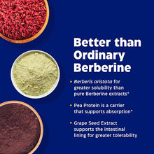 Berberine Phytosome, by Enzymedica, image #7