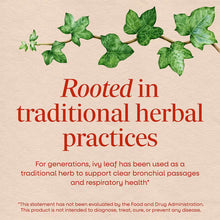 Green ivy leaf branch with text describing traditional herbal use for bronchial and respiratory support.