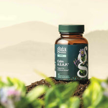 Calm A.S.A.P., by Gaia Herbs