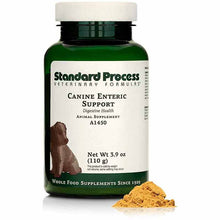 Canine Enteric Support, 110 Grams, by Standard Process