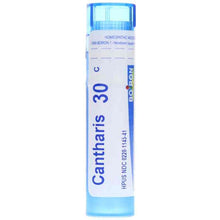 Cantharis 30C, by Boiron