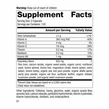 Catalyn GF, 240 Capsules, by Standard Process, image #2