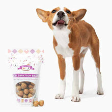 Celebration Bash Vegan Dog Treats, by Lord Jameson, image #4