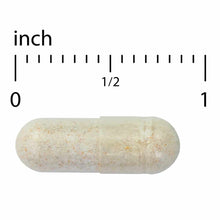 Beige capsule with visible powder particles, shown against ruler for scale.