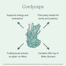 Cordyceps, 60 Vegan Capsules, by True Grace, image #4