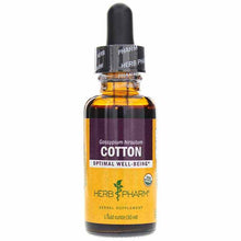 Cotton Extract, by Herb Pharm