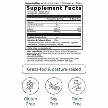 Creatine + Collagen + Electrolytes, Lemon, 30 Servings, by Ancient Nutrition, image #2