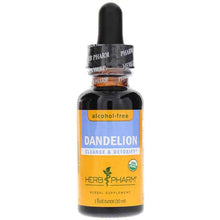 Dandelion Extract Alcohol Free, by Herb Pharm