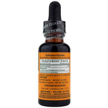 Echinacea Extract Alcohol Free, 1 Oz, by Herb Pharm, image #2