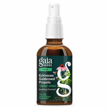 Amber glass bottle with white spray pump top and teal label featuring echinacea flower and botanical imagery.
