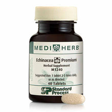 Echinacea Premium, 40 Tablets, by Standard Process