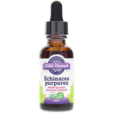 Echinacea pupurea Extract, by Oregons Wild Harvest