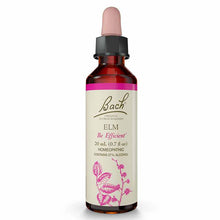 Elm Flower Essence, by Bach Flower Remedies