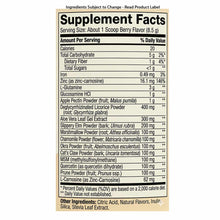 Supplement Facts label for GI Integrity powder showing serving size, nutritional information, and ingredient list with berry
