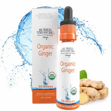 White bottle with orange label and black dropper cap containing Buried Treasure Organic Ginger Extract drops, displayed with