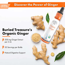 Buried Treasure Organic Ginger Extract bottle with dropper surrounded by fresh ginger root, ginger powder, and green leaves.