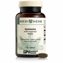 Gymnema, 120 Tablets, by Standard Process