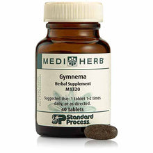 Gymnema, 40 Tablets, by Standard Process