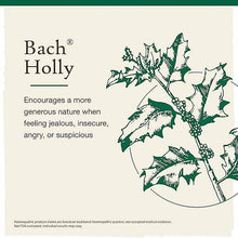 Holly Flower Essence, by Bach Flower Remedies, image #3
