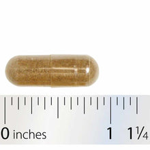 HPA Adapt Stress Resistance Complex, 120 Veg Capsules, by Integrative Therapeutics