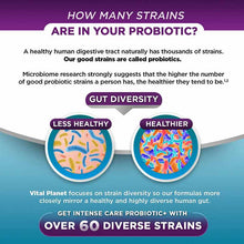 Intense Care Respiratory + Immune Probiotic, 30 Capsules, by Vital Planet, image #3