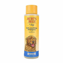 Itch Soothing Shampoo for Dogs, 16 Oz, by Burt's Bees Pets