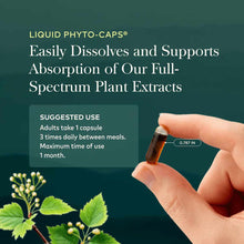 Hand holding a small amber liquid-filled capsule against a teal background with plant imagery and product information text.