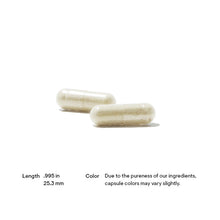 L-Arginine Plus (formerly Perfusia Plus), by Thorne Research, image #2