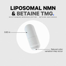 White liposomal NMN and betaine TMG capsule, 0.83 inches long, with natural color variation.