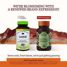 Loviral Softgels, 60 Softgels, by Herbs, Etc, image #3