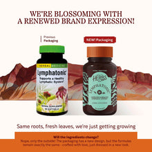 Lymphatonic Softgels, 60 Softgels, by Herbs, Etc, image #3