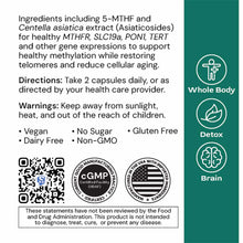 MethylGenic supplement label showing ingredients, directions, certifications, and product claims with teal sidebar highlighti