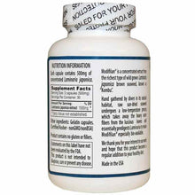 Modifilan Seaweed Extract, by Modifilan, image #2