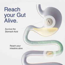 Mycrobiome Complete Probiotic Men's, 30 Capsules, by Solaray, image #4