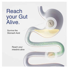 Mycrobiome Complete Probiotic Women's, 30 Capsules, by Solaray, image #4