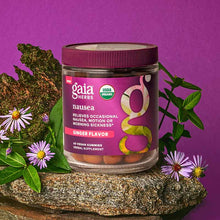 Nausea Gummies, by Gaia Herbs, image #4