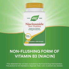 White bottle with gold cap labeled Niacinamide Non-Flushing 500 mg by Nature's Way, containing 100 vegan capsules.