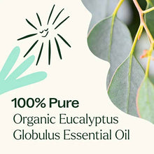 Organic Eucalyptus Globulus Essential Oil, by Plant Therapy, image #4