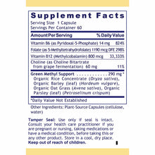 Supplement Facts label showing Vitamin B6, Folate, Vitamin B12, Choline, and Green Methyl Support ingredients for 60 vegetabl