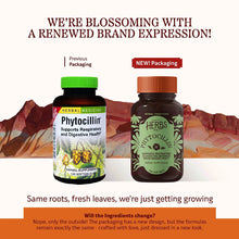 Phytocillin Softgels, 120 Softgels, by Herbs, Etc, image #3