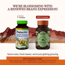 Phytocillin Softgels, 60 Softgels, by Herbs, Etc, image #3