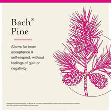 Pine Flower Essence, by Bach Flower Remedies, image #3