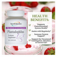 Plantadophilus Probiotic, by Transformation Enzyme, image #5