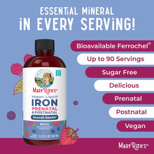 Dark amber glass bottle of MaryRuth's vegan liquid iron supplement with black cap, 15.22 fl oz, on blue background with berry